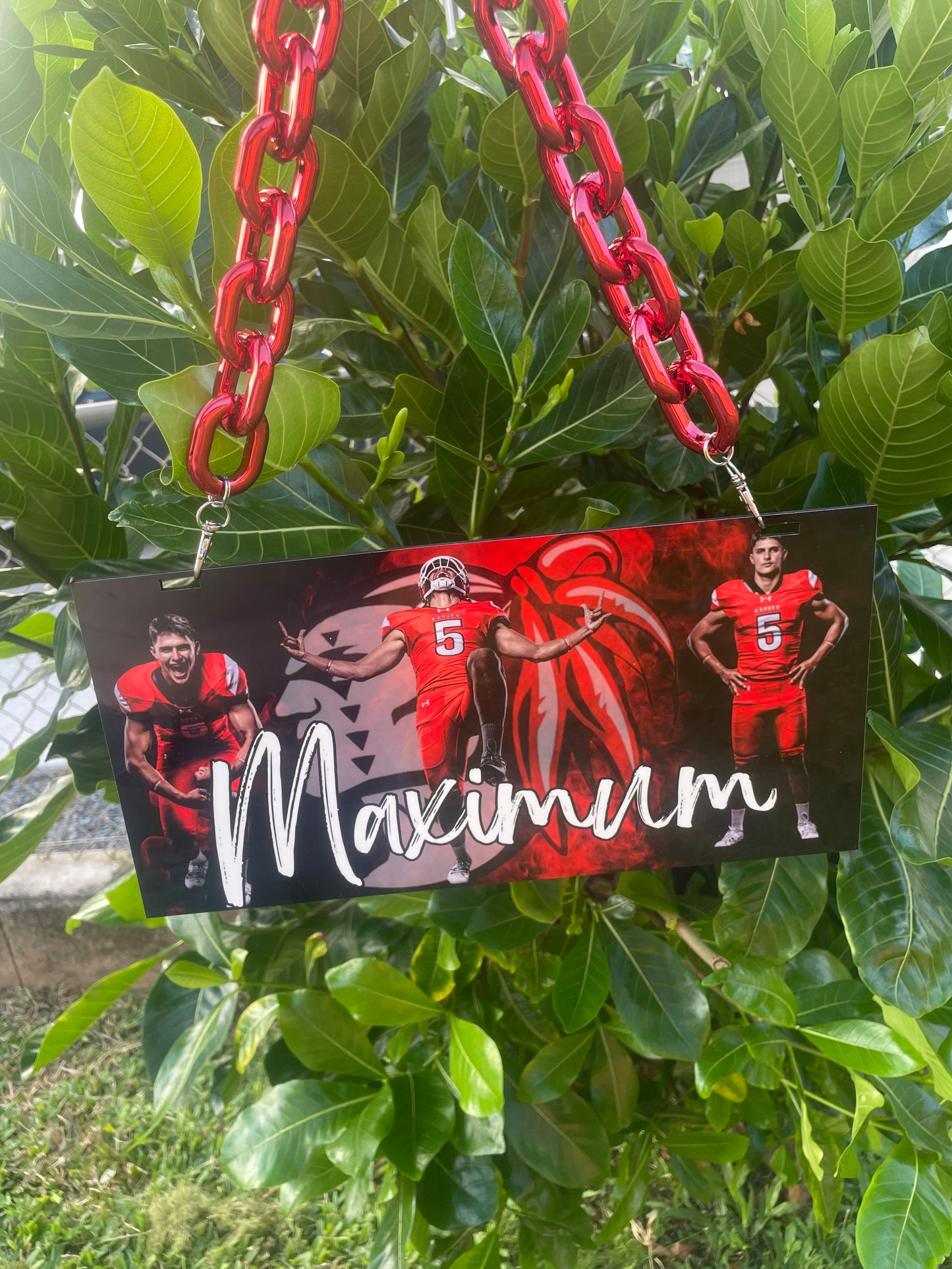 Sublimated Plaque Lei's